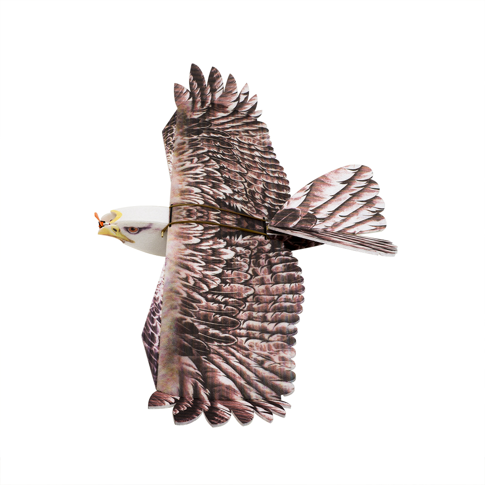 DW Hobby Eagle II EPP Airplane - مراجعة Model Kit Expert وسعره