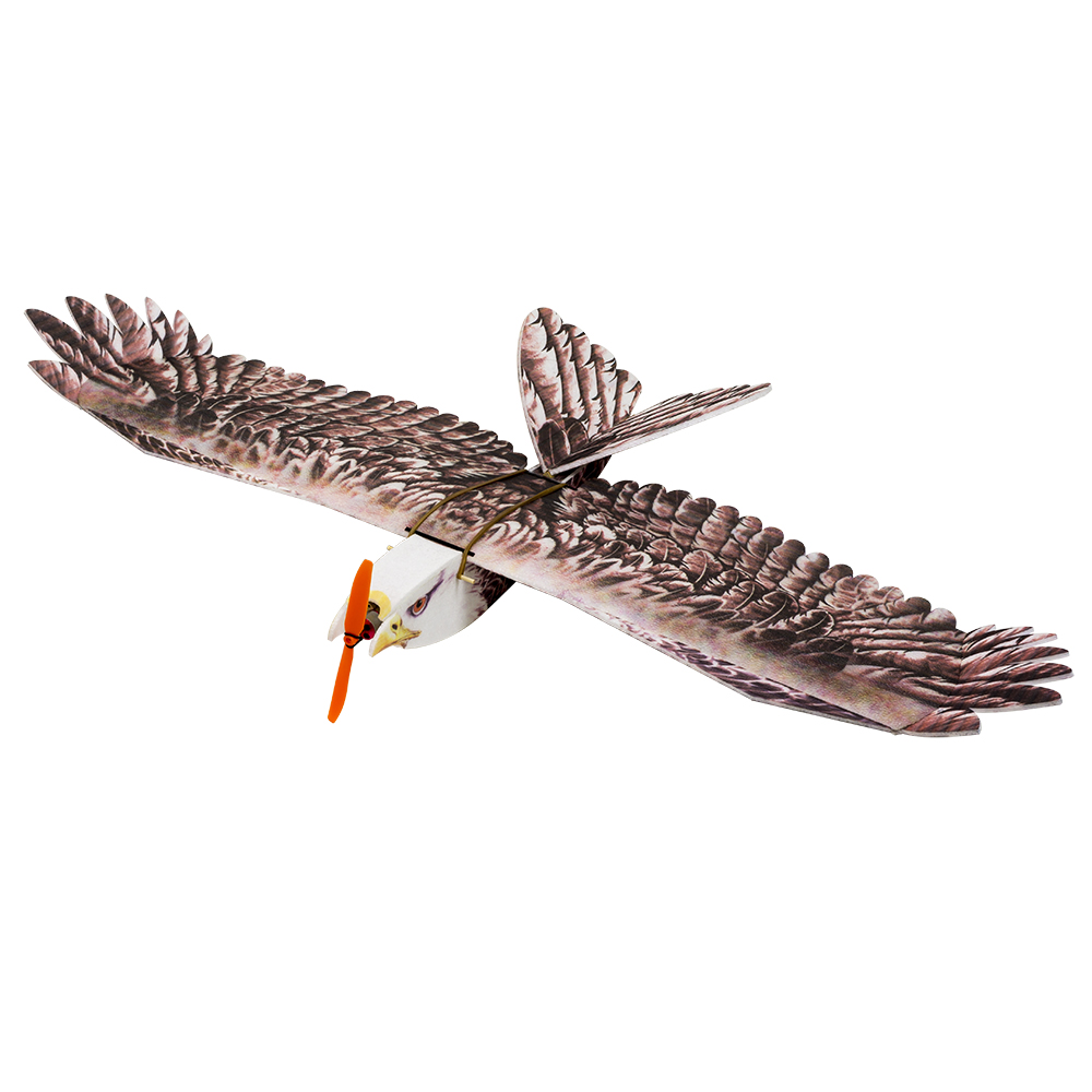DW Hobby Eagle II EPP Airplane - مراجعة Model Kit Expert وسعره