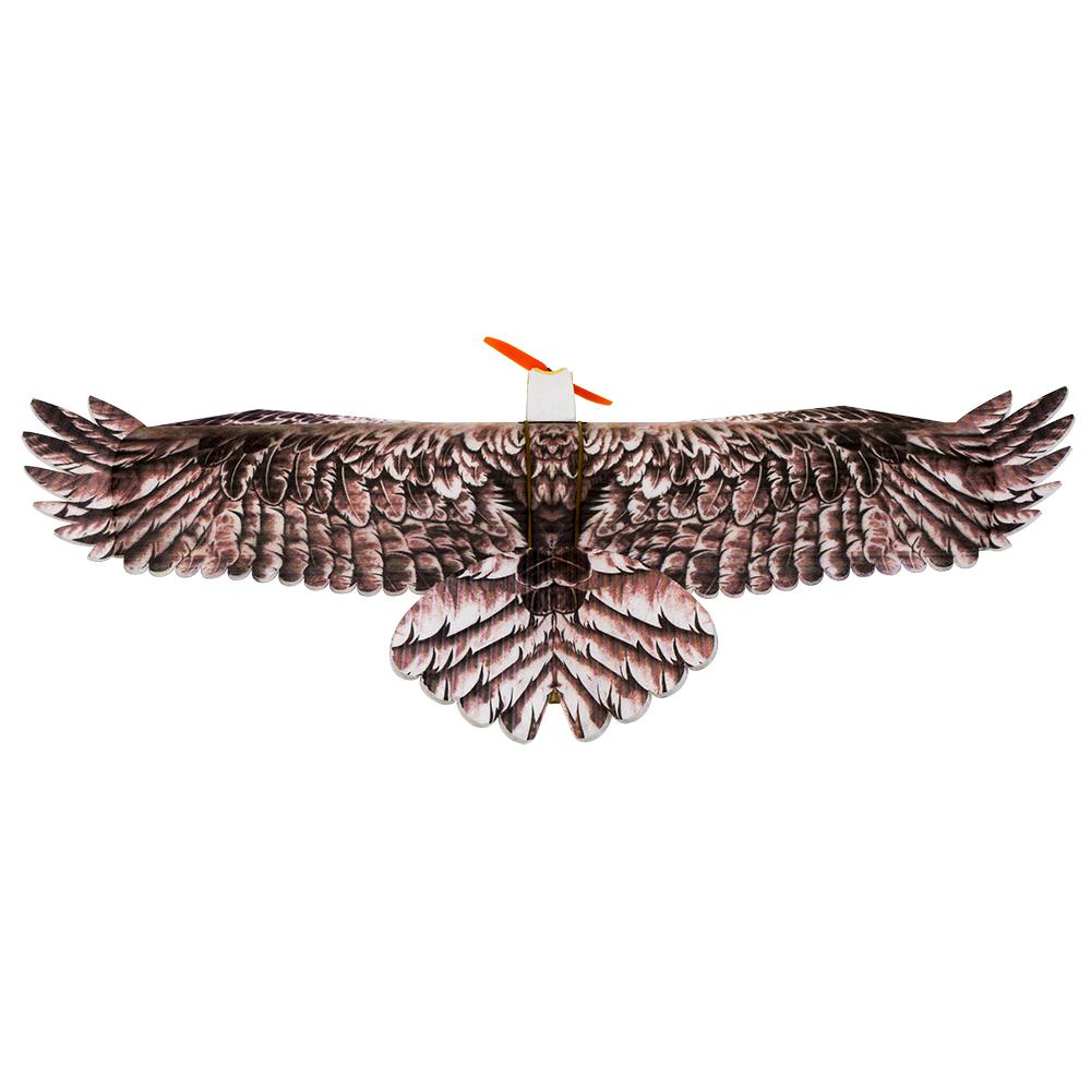 DW Hobby Eagle II EPP Airplane - مراجعة Model Kit Expert وسعره